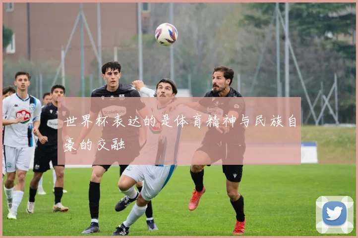 世界杯表达的是体育精神与民族自豪的交融