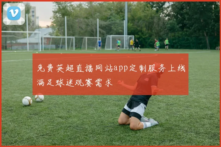 免费英超直播网站app定制服务上线满足球迷观赛需求