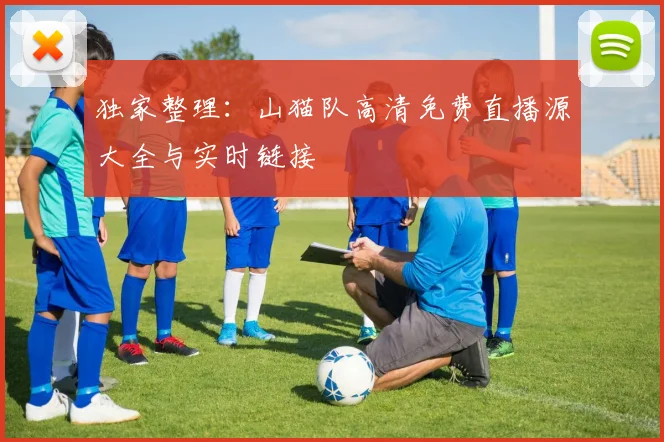 独家整理:山猫队高清免费直播源大全与实时链接