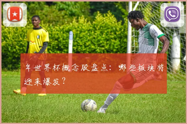 年世界杯概念股盘点:哪些板块将迎来爆发?